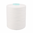Gute Festigkeit gesponnener Polyester-Garn-färbender Rohr AAA-Plastikgrad für strickende Socken