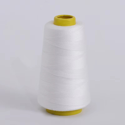 Großhandel 40/2 40/3 100% Polyestergarn aus Spund Polyester-Fasernfarbengarn für Garn